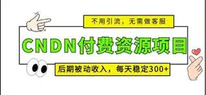 CSDN资源变现小项目