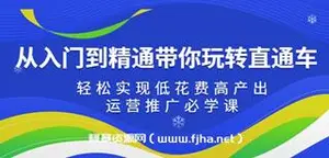 从入门到精通带你玩转直通车：轻松实现低花费高产出