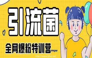 引流菌·全网暴粉引流价值998元