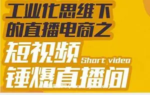 尼克派·工业化思维下的直播电商