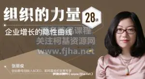 张丽俊：组织的力量28讲价值160元