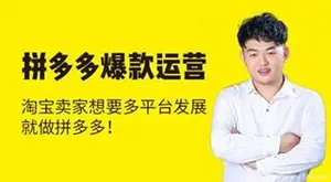 猫课拼多多运营[聪明卖家都在做]_下载