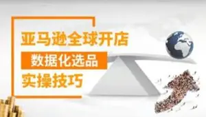 亚马逊全球开店数据化选品实操技巧价值399元