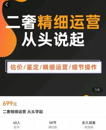 奢奢向上-二奢精细运营 从头学起价值699元