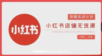 安琪-小红书店铺无货源实战