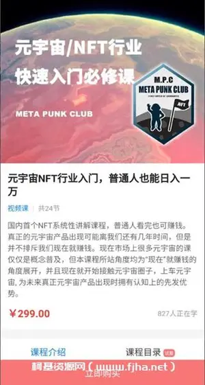 元宇宙NFT行业入门，普通人也能日入一万价值299元