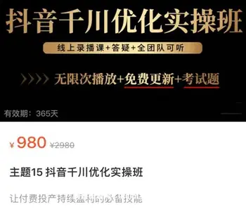 诸葛老王·抖音千川优化实操班价值980元