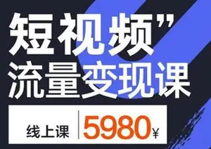 参哥《短视频流量变现课》