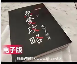 浪迹《恋爱攻略》电子版