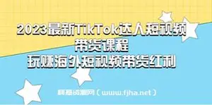 最新TikTok·达人短视频带货课程，玩赚海外短视频带货·红利