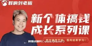 群响刘老板：新个体搞钱成长系列课-网盘下载