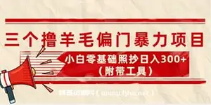 外面卖998的三个撸羊毛偏门撸金项目，小白零基础照抄日入100+