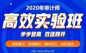 初·中级审计师李斌审计理论与实务、审计专业相关知识[视频+讲义]