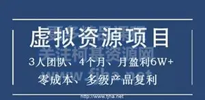 暴疯团队：虚资拟源项目-新手、高客单价、多产品复利价值899元