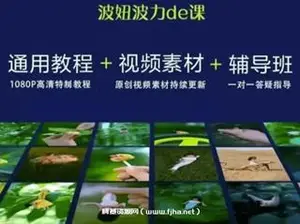 波妞波力的视频通用教程+视频素材+辅导班