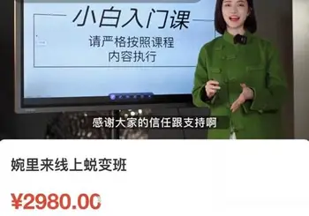 婉婉·婉里来线上蜕变班(主播课)