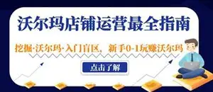沃尔玛店铺·运营最全指南-网盘下载