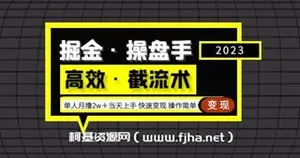 掘金操盘手（高效截流术）单人月撸2w+网盘下载