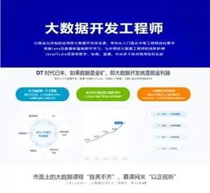 大数据开发工程师（完结）价值3888元