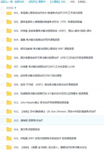 [完结]焦点解决合集