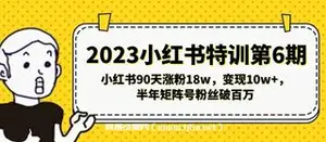 小红书特训第6期，小红书90天涨粉18w