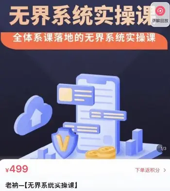 老衲·无界系统实操课价值499元