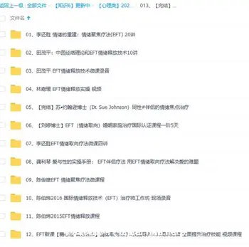 [完结]EFT课程合集