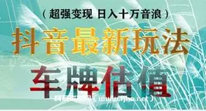 抖音最新玩法车牌估值，超强变现，日入十万音浪
