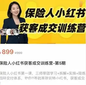 保险人小红书获客成交训练营-第5期