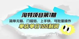 绅白不白·淘特项目第1期，单店单日100利润