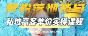 [男粉落地项目]零基础玩转男粉短视频转私域日产500+