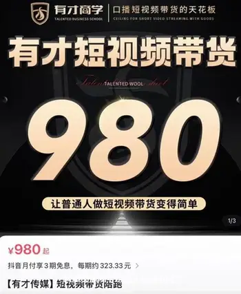 高有才·短视频带货陪跑价值980元
