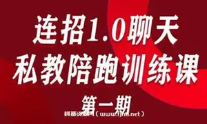 乌鸦老师：连招1.0聊天私教陪跑训练课第一期价值15800元