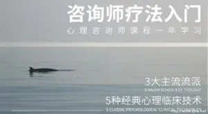 心理学各领域音频视频教程合集