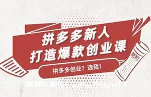 搜外网：拼多多新人打造爆款创业课价值299元