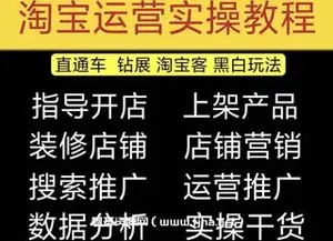 新淘宝开店入门教程（开店网）-网盘下载
