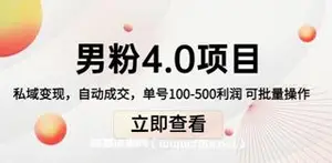 道哥说创业·男粉项目4.0-网盘下载
