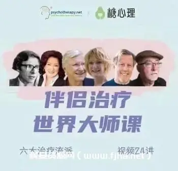 [完结]伴侣治疗世界大师课 六大流派视频24讲