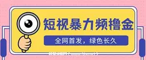 日入500+TK短视频暴力撸金