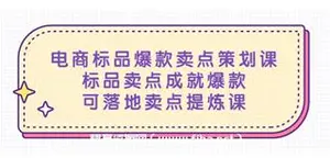 电商标品爆款卖点策划课，标品卖点成就爆款