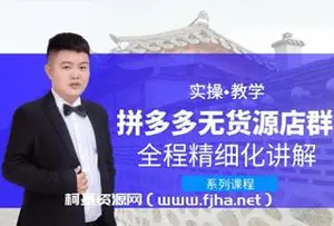 圣淘电商：拼多多无货源店群