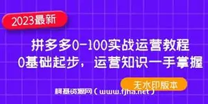 拼多多0-100实战运营教程