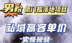 最新超耐造男粉项目实操教程，私域自动成交 单人单号日1000+