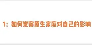 赛维原生家庭系列（13集视频）