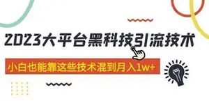 价值4899的大平台黑科技引流技术