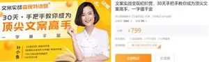 有讲课堂：文案实战变现特训营，30天手把手教你成为顶尖文案高手，一字值千金