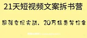 叶小鱼：21天短视频文案拆书营-网盘高清下载