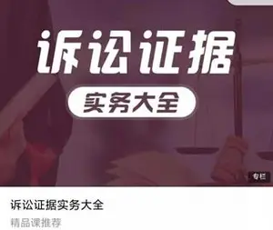 职未来：诉讼证据实务大全