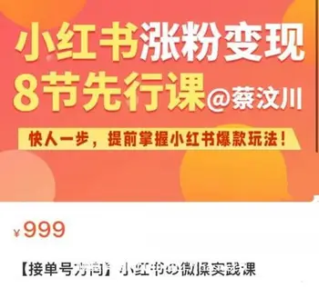 蔡汶川:接单号方向·小红书の微操实践课