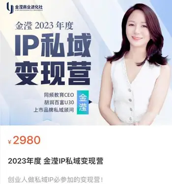 年度 金滢IP私域变现营价值2980元
